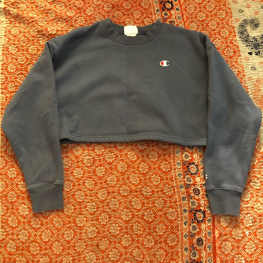 Champion cropped sweatshirt.